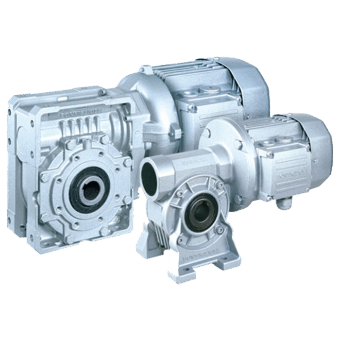 Worm Gearmotors (VF & W Series)