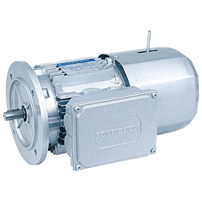AC Electric Motors (BN & BE Series)